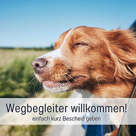 Stadtapartment By Live It - Voll Ausgestattete Kueche, Smarttv, Waschtrockner, 1-5 Pers Brandenburg  Eksteriør bilde